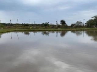 Pesqueiro São Braz em Rio Brilhante, MS - 1 Hectare
