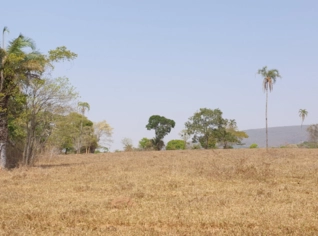 Fazenda Córrego das Pedras em Palmeiras de Goiás