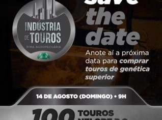 Industria de Touros Nelore PO Rima - Qualidade Garantida