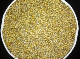 Compro Milheto em Grão com Impureza =4%