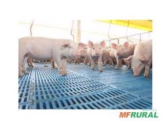 Compra de Sucata de Pisos Plásticos Usados