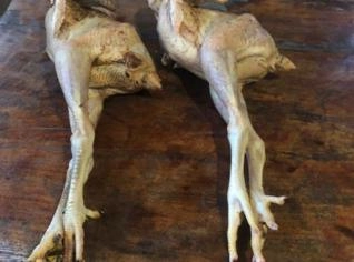 Frango Caipira Orgânico Direto da Roça