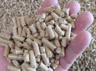 Casquinha de Soja Peletizada para Nutrição Animal