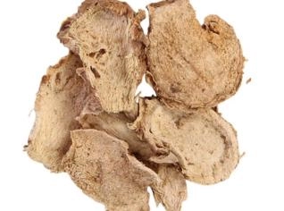 Raiz de Angélica Desidratada - 1kg