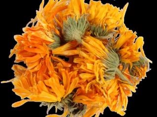 Flor de Calêndula Natural - 1 Kilo