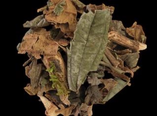 Canela de Velho - Temperos Naturais