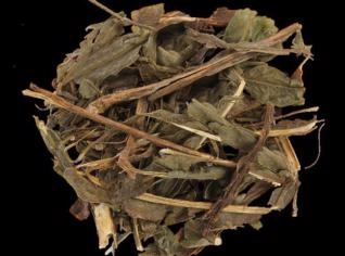 Carqueja Amarga - Temperos Naturais de Alta Qualidade