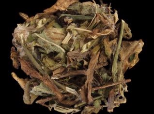 Dente de Leão - Especialidade em Temperos Naturais