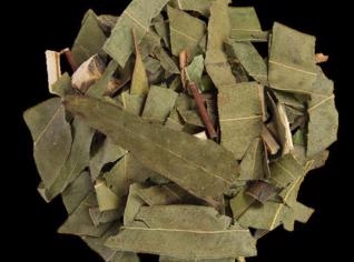 Óleo de Eucalipto NL Aromas