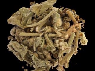Malva - Temperos Naturais