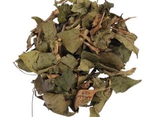 PITANGA FOLHA - Temperos Naturais
