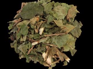 Tarumã - Temperos Naturais de Alta Qualidade