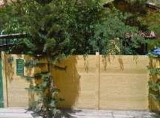 Pinheiro Norfac 6m - 2 Unidades