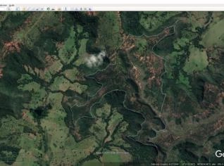 Fazenda em Gurinhatã-MG para Reserva Legal