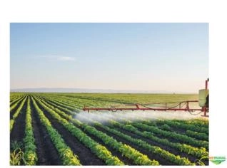 Tio Sulfato de Amônio - Fertilizante Líquido 12% N 26% S