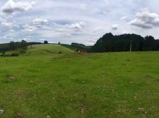 Fazenda Itatinga em Botucatu - Terreno Plano e Produtivo