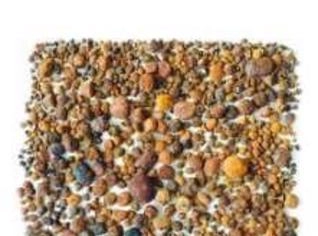Compra de Pedra do Fel de Bovinos - Preço Justo