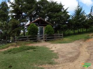 Fazenda com 306 Hectares e Eucalipto em Andrelândia