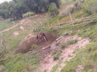 Sítio Santa Clara à Venda em São Miguel Arcanjo - SP