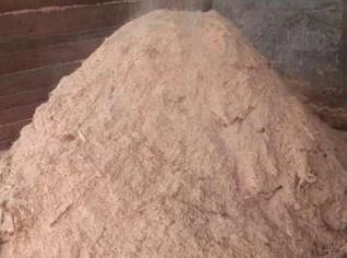 Pó de Serra de Eucalipto Seco e Limpo