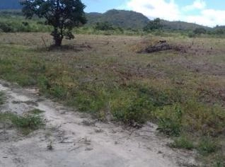 Fazenda Certificada com Água Mineral na Chapada Diamantina