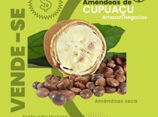 Amêndoas de Cupuaçu - 5kg em Marabá-PA