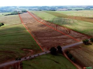 Sítio de 31,4 Hectares à Venda em Maringá - PR