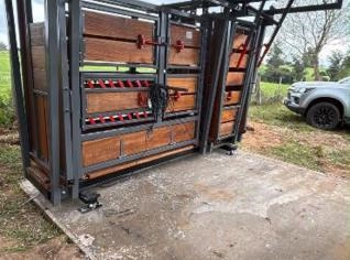 Tronco de Contenção Bovino para Manejo