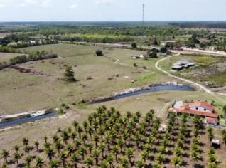 Fazenda à Venda em Linhares - Ideal para Indústria
