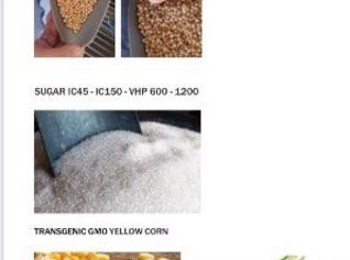 Exportação de Commodities: Açúcar, Soja, Milho e Mais