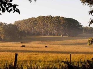 Compro Sítio até 10 Alqueires para Agricultura