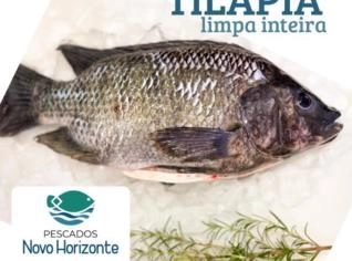 Tilápia Limpa Inteira - Frescor de Quedas do Iguaçu