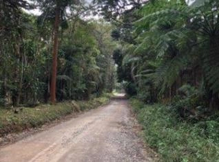 Sítio 3 hectares com água abundante e cachoeiras