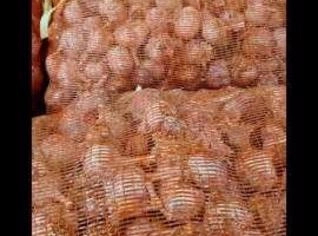 Alho Tipo 3 em Pacotes de 10kg - Barueri/SP