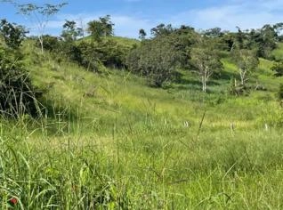 Fazenda em Dom Aquino-MT com Boa Localização
