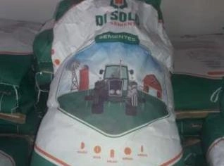 Semente de sorgo Di Solo - Saco 10 kg com alta germinação