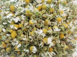 Chá de Camomila Natural - Benefícios Saudáveis