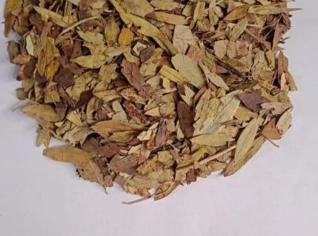 Sene Folha - Tratamento Natural para Constipação