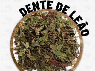 Dente de Leão - Erva Natural