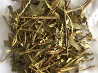 Eucalipto Quebrado - 100% Natural