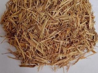 Ginseng Rasurado - Pó Natural