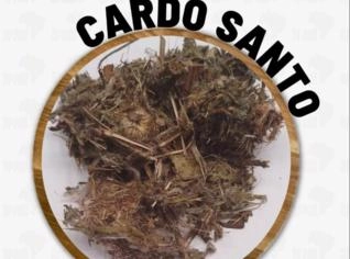 Cardo Santo - Atacado