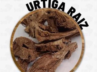 URTIGA RAIZ EM ATACADO - 10KG