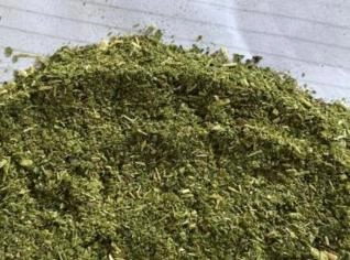 Erva Mate Fina - Atacado