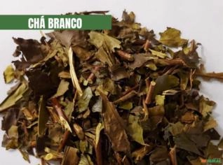 Chá Branco Natural - 10kg