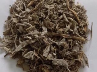 Salvia em Flocos - Brasil Ervas