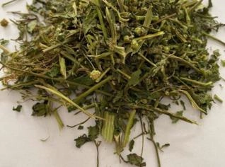 Chá Picão Branco - 10kg