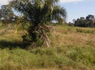Fazenda 41 Alqueires em Jussara, GO perto do Araguaia