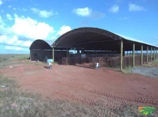 Industria Cerâmica com Galpão e Infraestrutura