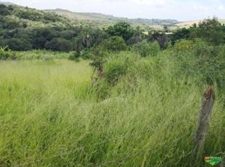 Sítio Maria Felícia - 10 hectares na Serra do Camapuã